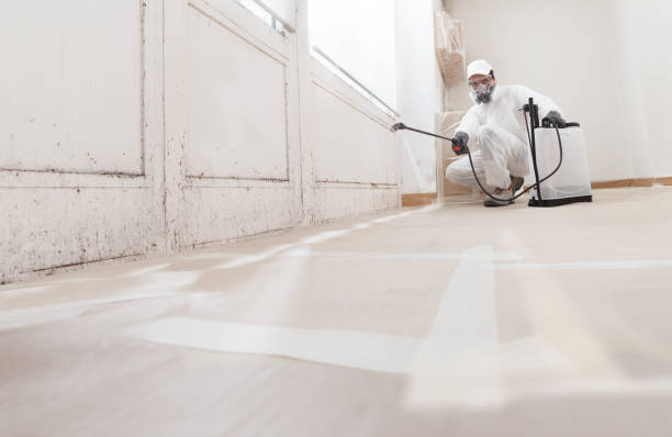 24/7 Emergency Bathroom Mold Removal experts in Richland, MI