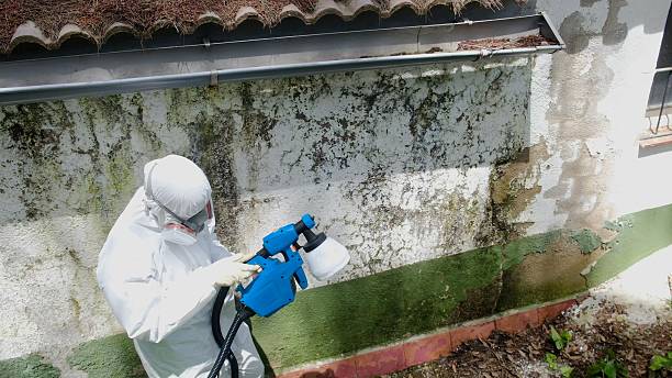 Top rated local Bathroom Mold Removal specialists in Richland, MI